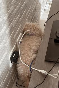 ���ε����β���