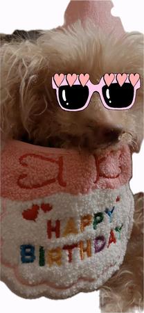 ���ε����β���