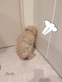 ���ε����β���