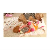 ���ε����β���