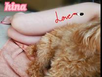 ���ε����β���