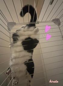 ���ε����β���