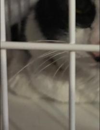 ���ε����β���