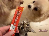 ���ε����β���