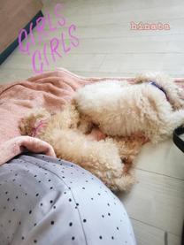 ���ε����β���