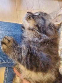 �ʐ^���Ă邾���Ȃ̂�