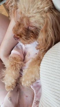 ���ε����β���