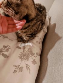 ���ε����β���