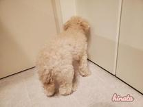 ���ε����β���