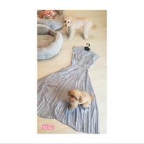 ���ε����β���