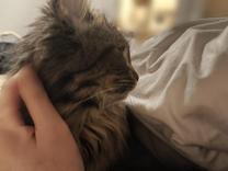 ���ε����β���