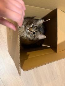 ���ε����β���