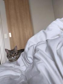 ���ε����β���