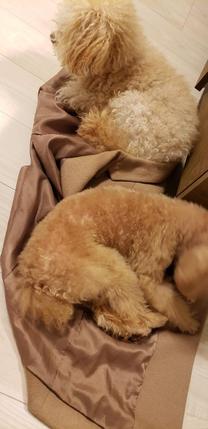 ���ε����β���