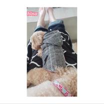 �u���O�摜