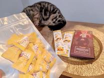 �u���O�摜