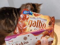 �u���O�摜