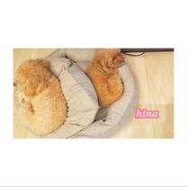 ���ε����β���