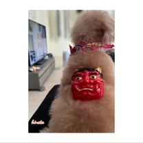 ���ε����β���