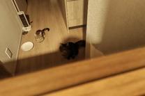 ���ε����β���