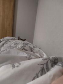 ���ε����β���