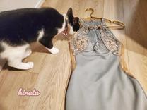 ���ε����β���