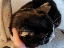 ���ε����β���