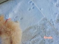 ���ε����β���