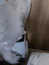 ���ε����β���