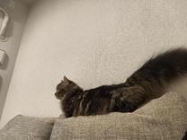 ���ε����β���