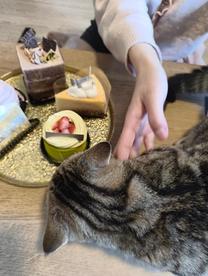 ���ε����β���