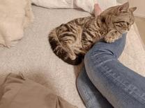 �R�C����...