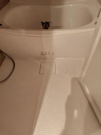 ���ε����β���