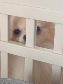 ���ε����β���