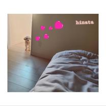 ���ꂩ��...