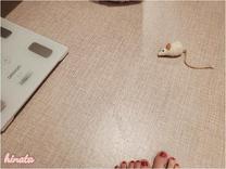 �����т�����