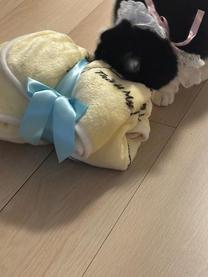 ���ε����β���