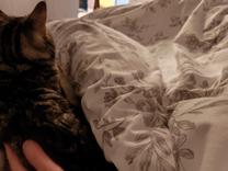 ���ε����β���