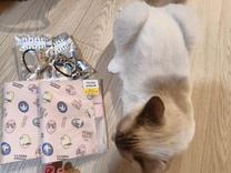 ���ε����β���