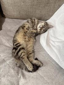 ���ε����β���