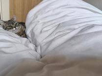 ���ε����β���