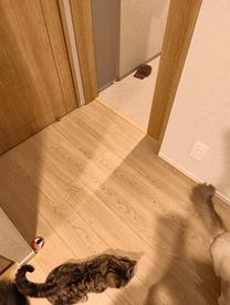 ���ε����β���