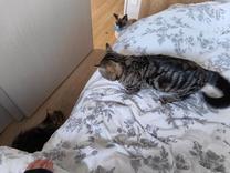 ���ε����β���