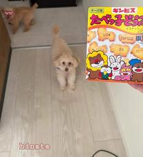 ���ε����β���