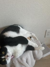 ���ε����β���