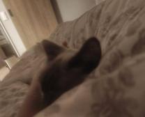 ���ε����β���