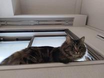 ���ε����β���