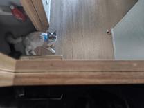 ���ε����β���