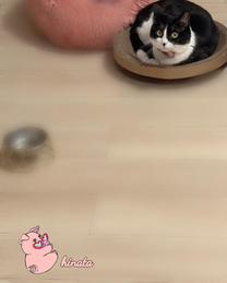 ���ε����β���