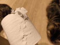 �L�b�`��...